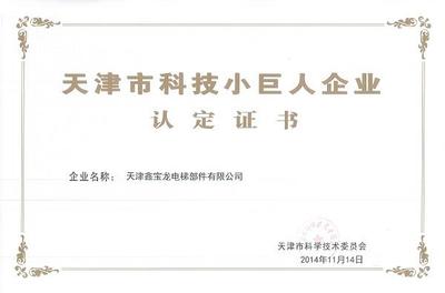 天津市科技小巨人企业